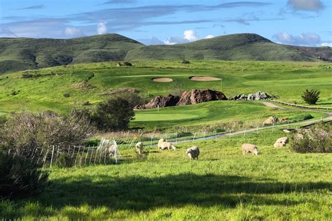 Dairy creek golf course - Dairy Creek Golf Course discounts - what to see at San Luis Obispo County - check out reviews and 1 photos for Dairy Creek Golf Course - popular attractions, hotels, and restaurants near Dairy Creek Golf Course.